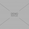 Demo Image